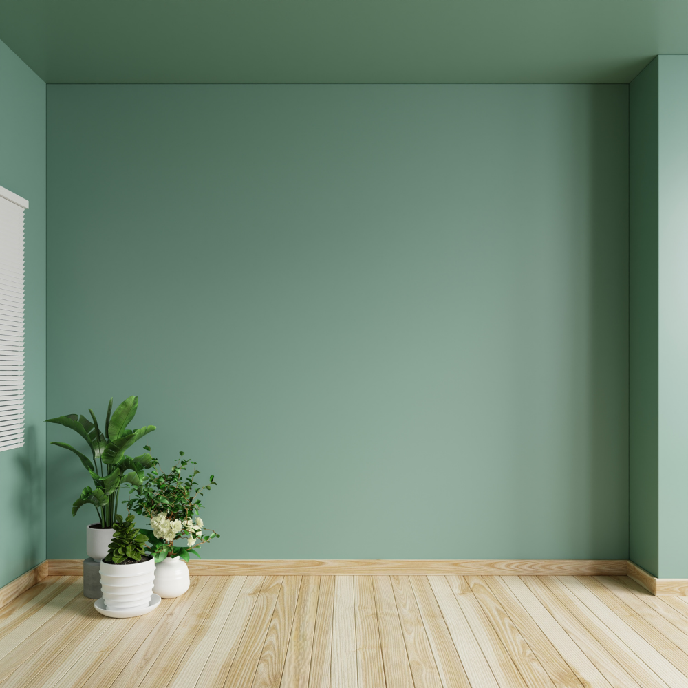 Interior Wall Painting – Per Wall (Material + Labour Included)- Drizz